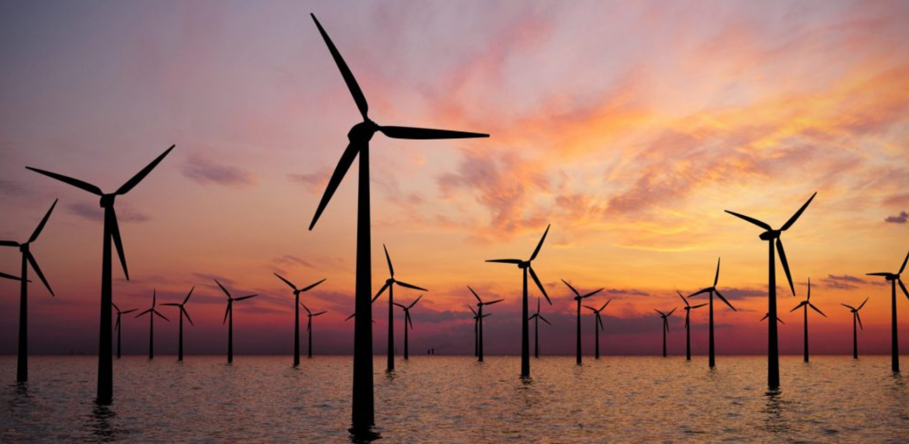 More political and corporate commitment necessary to unleash offshore wind’s potential